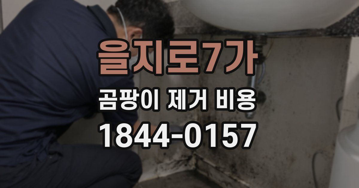 을지로7가 곰팡이 제거 비용