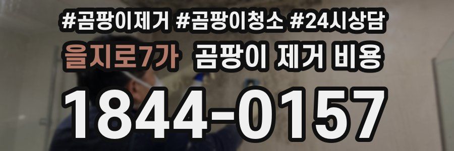 을지로7가 곰팡이 제거 비용