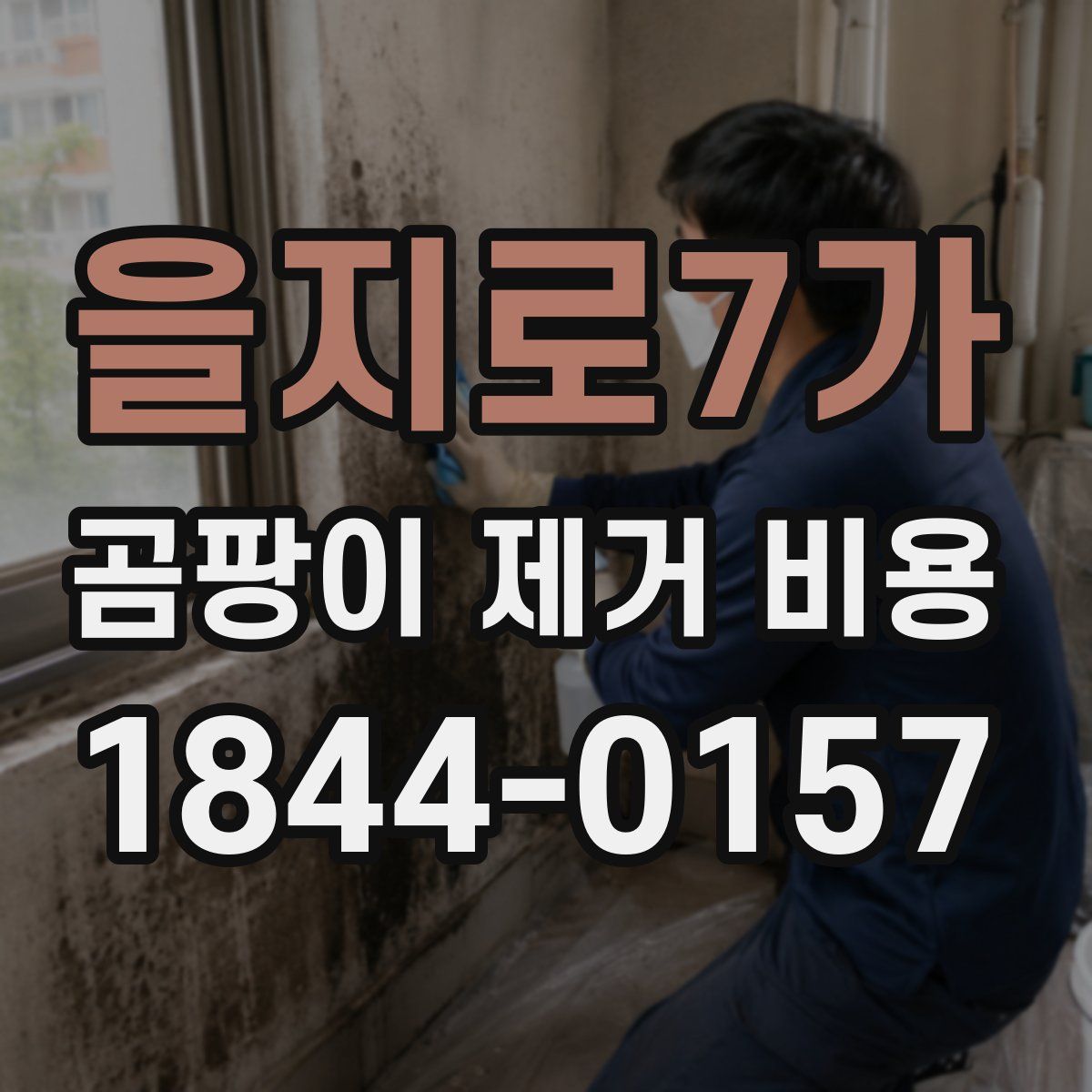 을지로7가 곰팡이 제거 비용