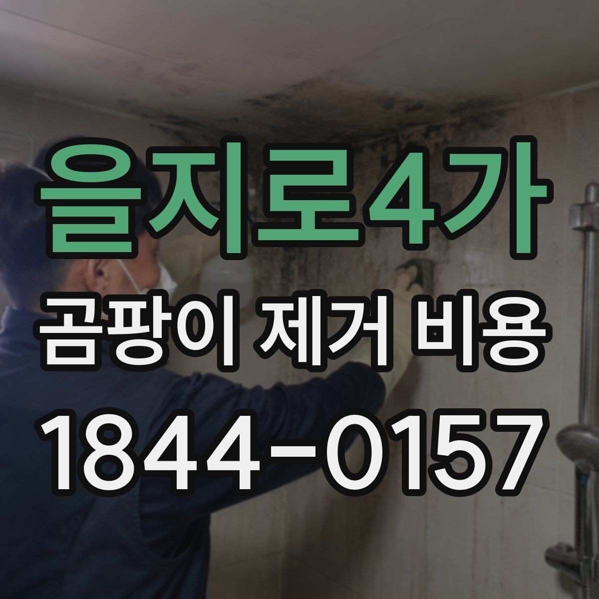 을지로4가 곰팡이 제거 비용 시공 후 보증 서비스의 조건 확인하는 법