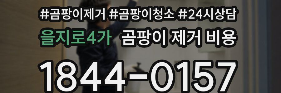 을지로4가 곰팡이 제거 비용