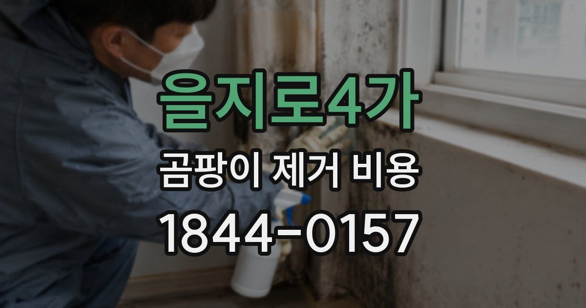 을지로4가 곰팡이 제거 비용