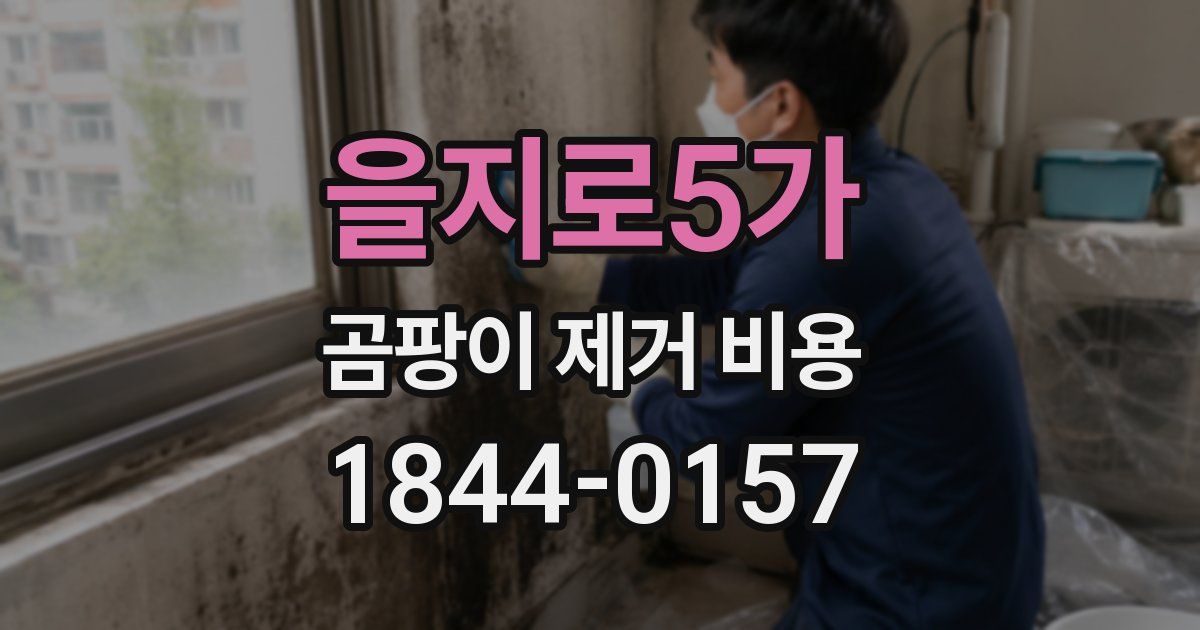 을지로5가 곰팡이 제거 비용