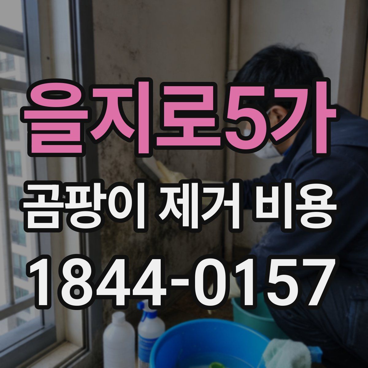 을지로5가 곰팡이 제거 비용
