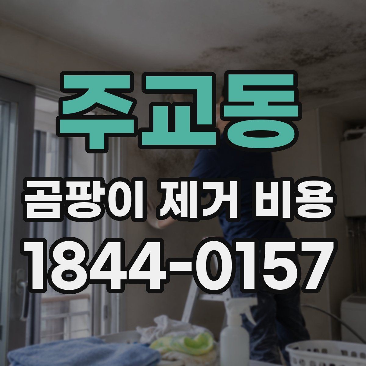 주교동 곰팡이 제거 비용 다세대 건물에서 민원 적게 진행하는 법