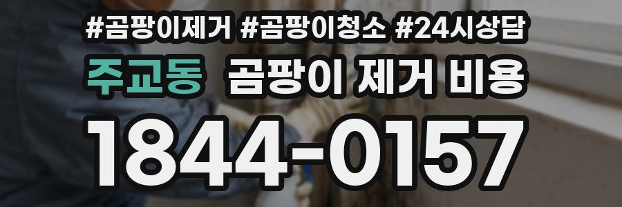 주교동 곰팡이 제거 비용