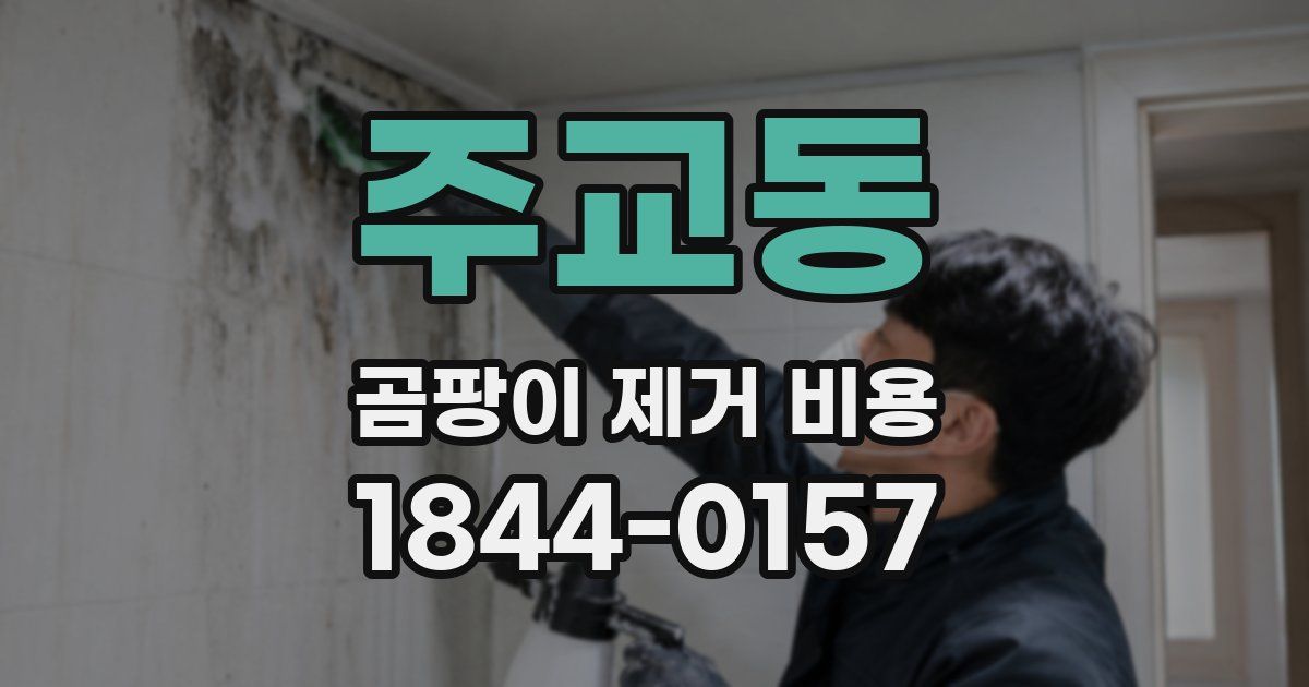 주교동 곰팡이 제거 비용