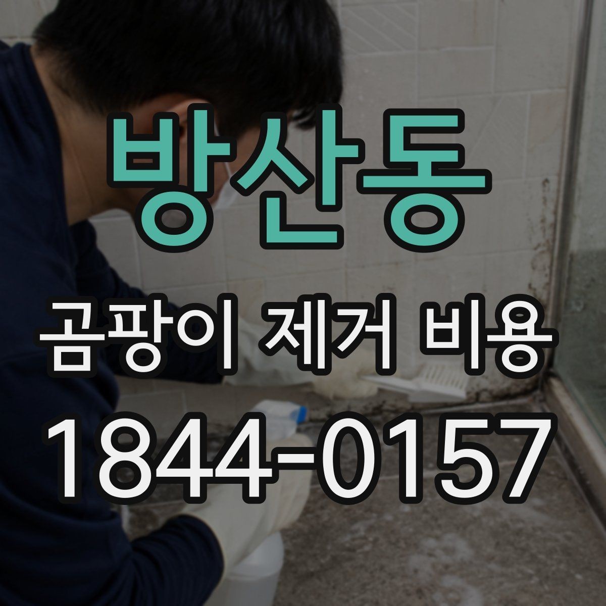 방산동 곰팡이 제거 비용 누수 흔적과 번식 상태를 함께 보는 기준