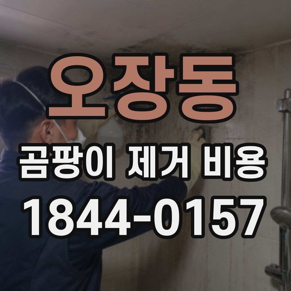 오장동 곰팡이 제거 비용 현장 인원 배치가 늘어나는 대표 상황