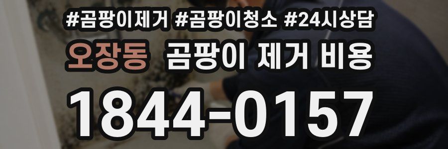 오장동 곰팡이 제거 비용