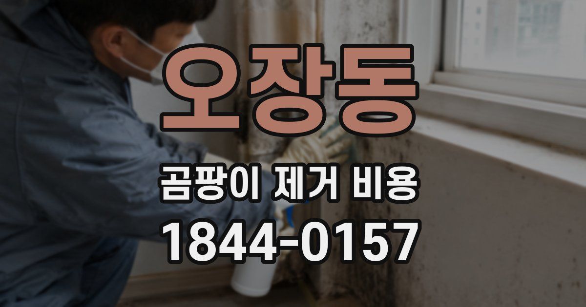 오장동 곰팡이 제거 비용
