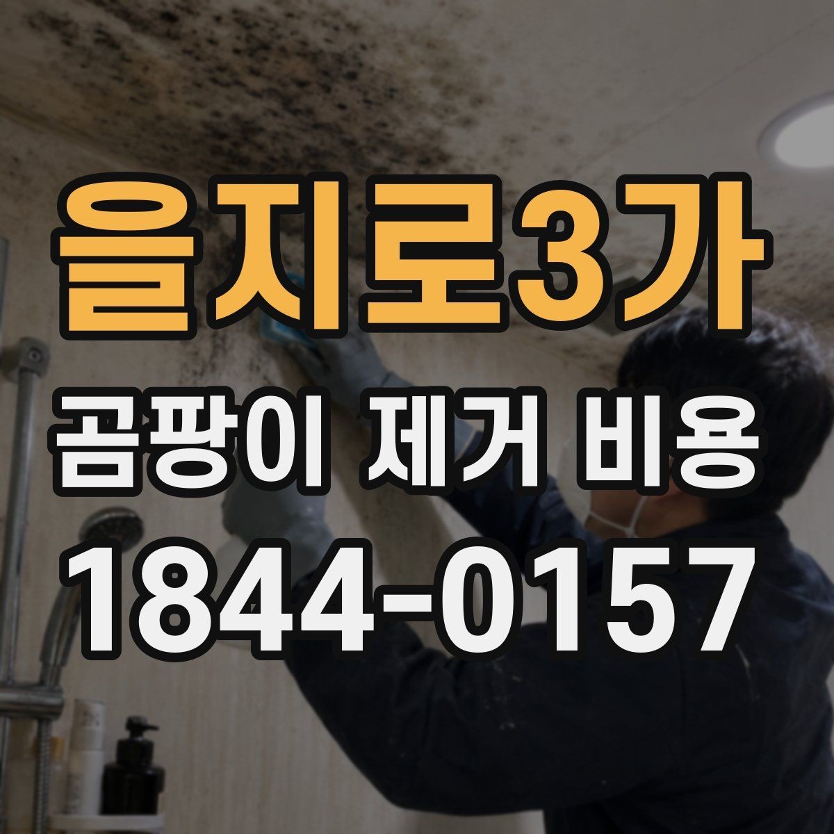 을지로3가 곰팡이 제거 비용 배관 주변 처리 범위를 정할 때 보는 기준