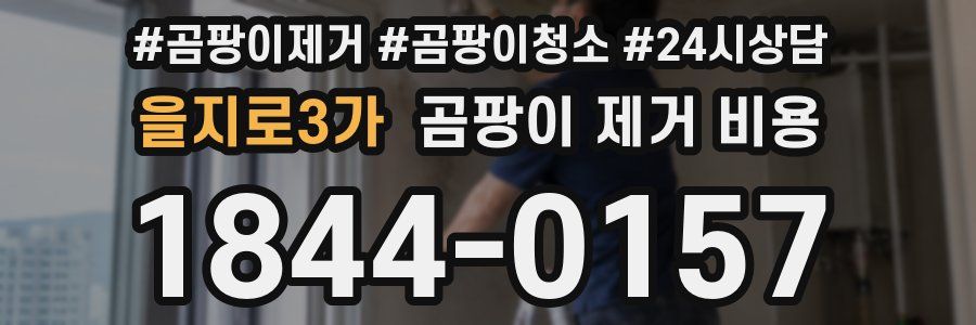 을지로3가 곰팡이 제거 비용