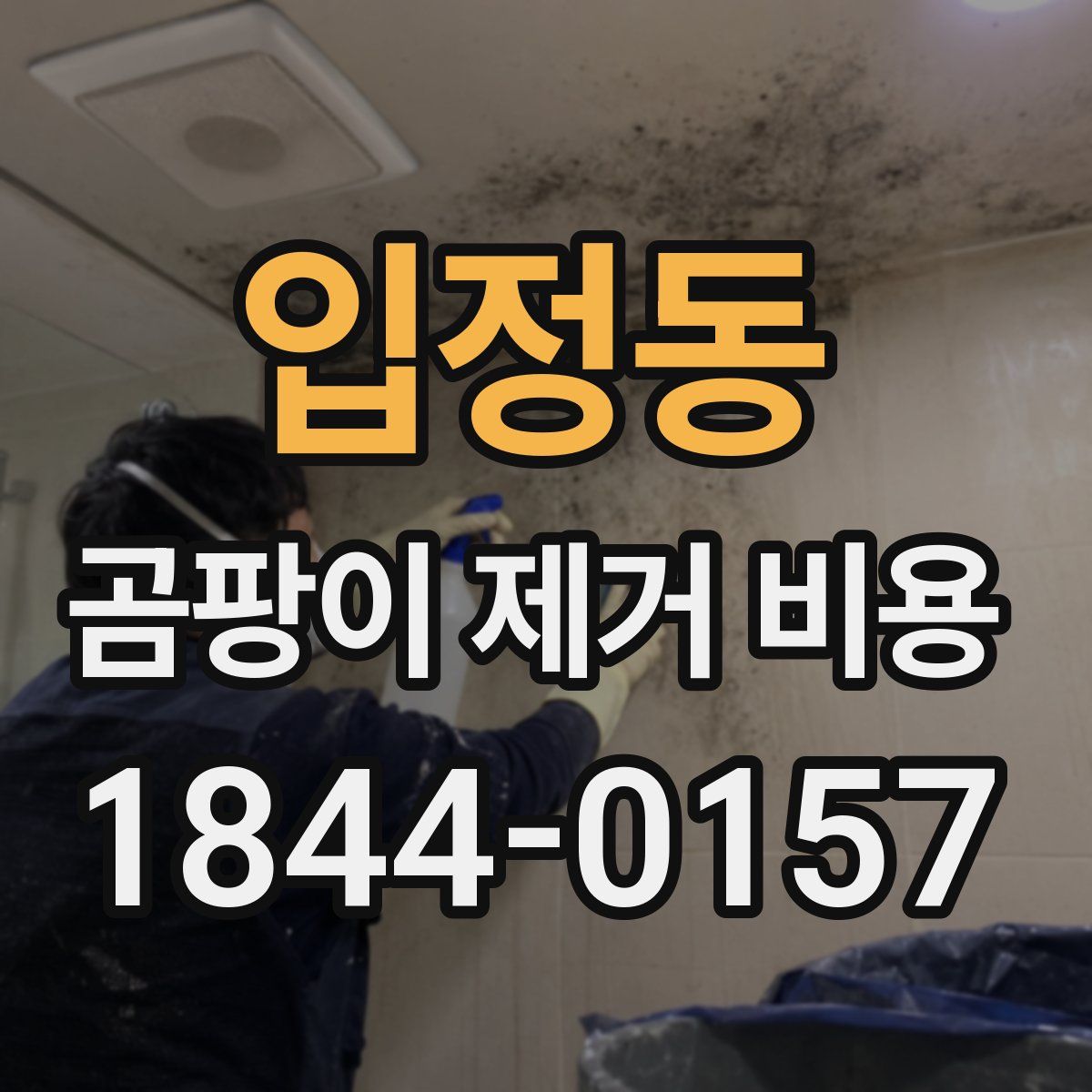 입정동 곰팡이 제거 비용