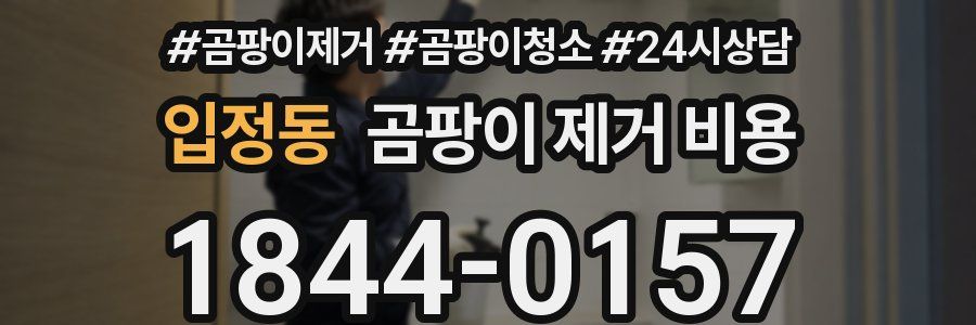 입정동 곰팡이 제거 비용