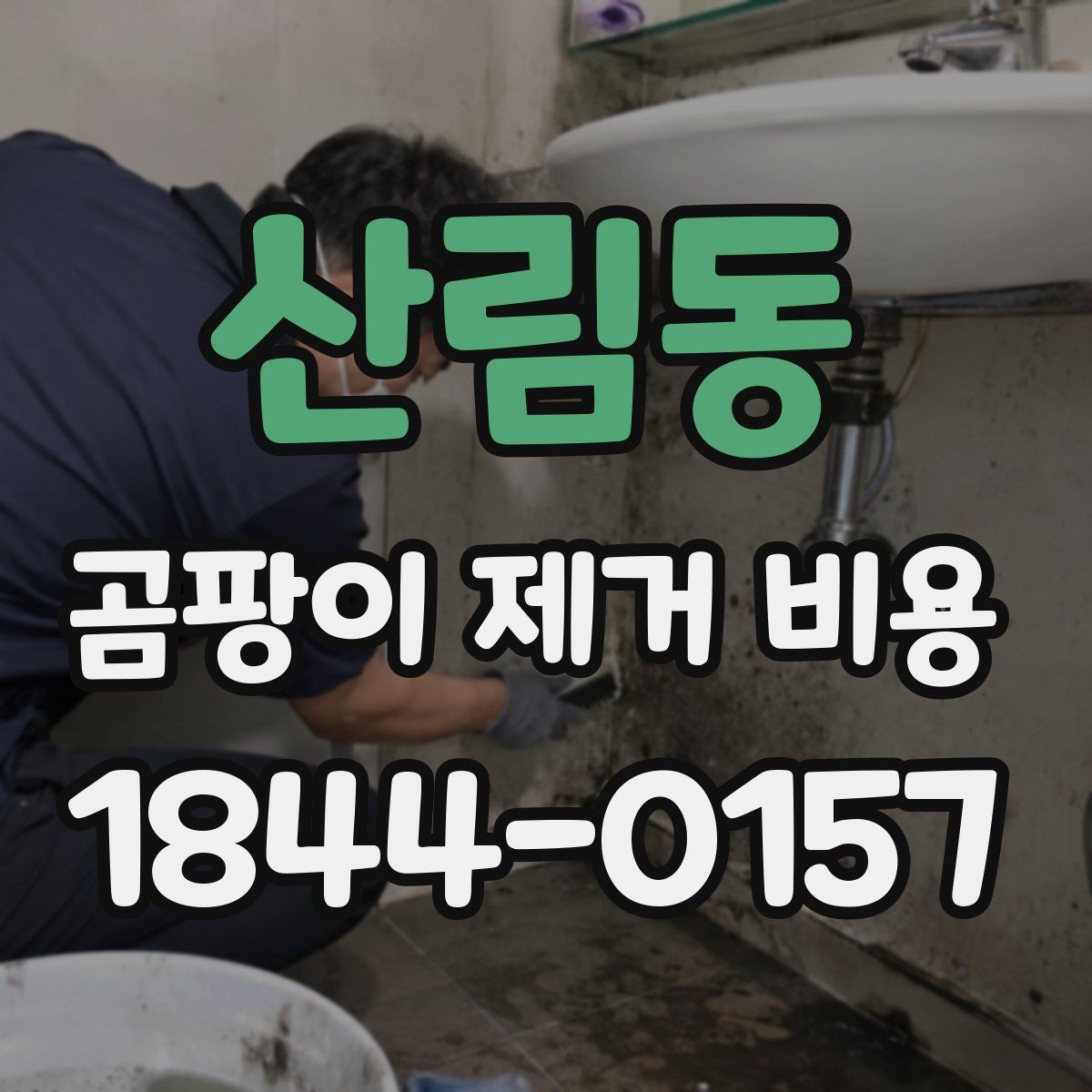 산림동 곰팡이 제거 비용 배관 주변 처리 범위가 넓어질 때