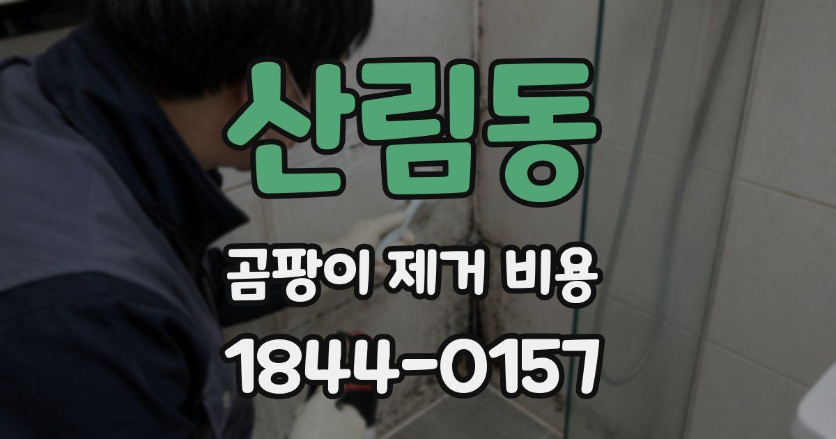 산림동 곰팡이 제거 비용