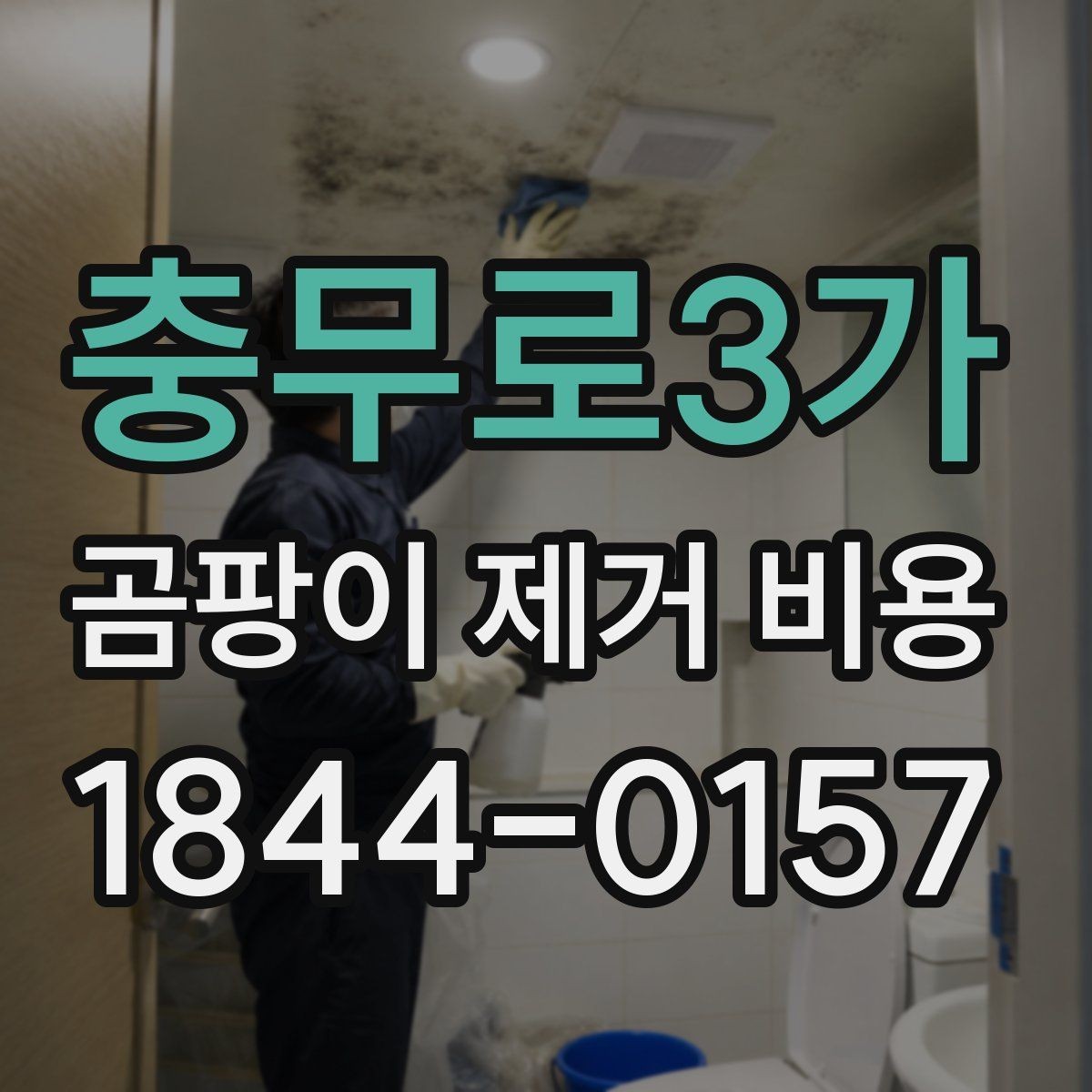 충무로3가 곰팡이 제거 비용 벽면과 천장 중 작업비가 다른 경우