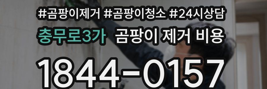 충무로3가 곰팡이 제거 비용