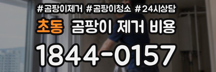 초동 곰팡이 제거 비용