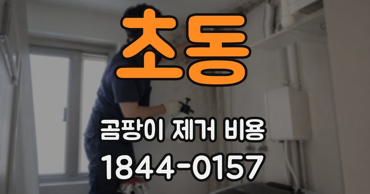 초동 곰팡이 제거 비용