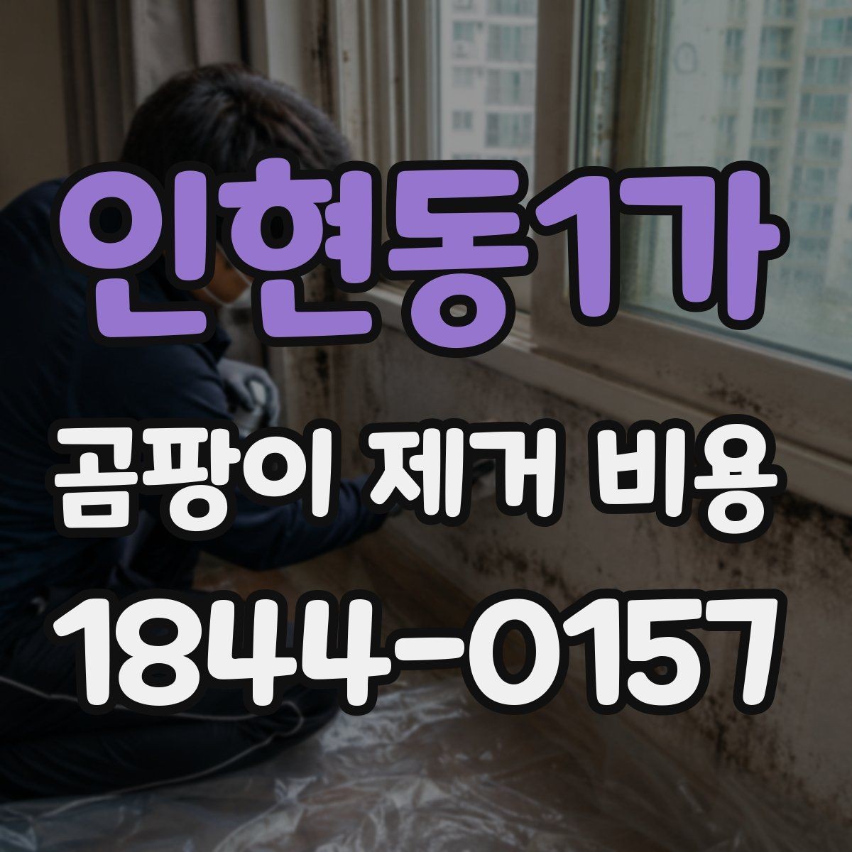 인현동1가 곰팡이 제거 비용 벽면과 천장 작업비가 다른 이유