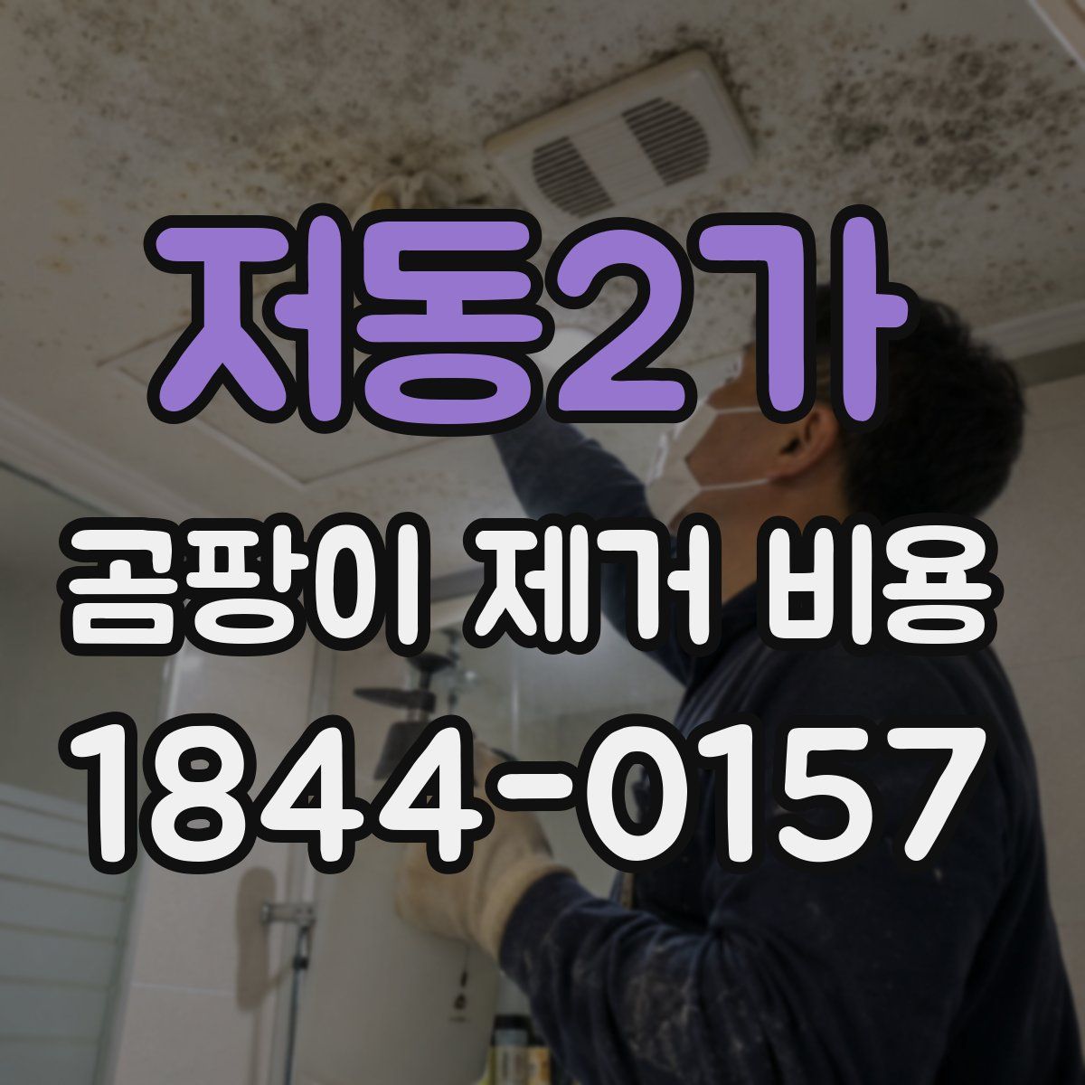 저동2가 곰팡이 제거 비용