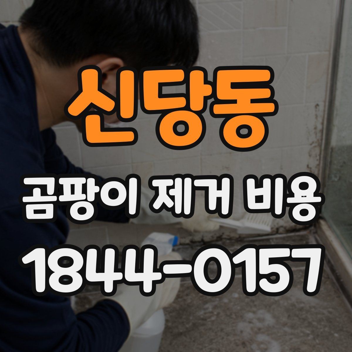 신당동 곰팡이 제거 비용 방수 문제를 함께 해결하지 않으면 생기는 한계