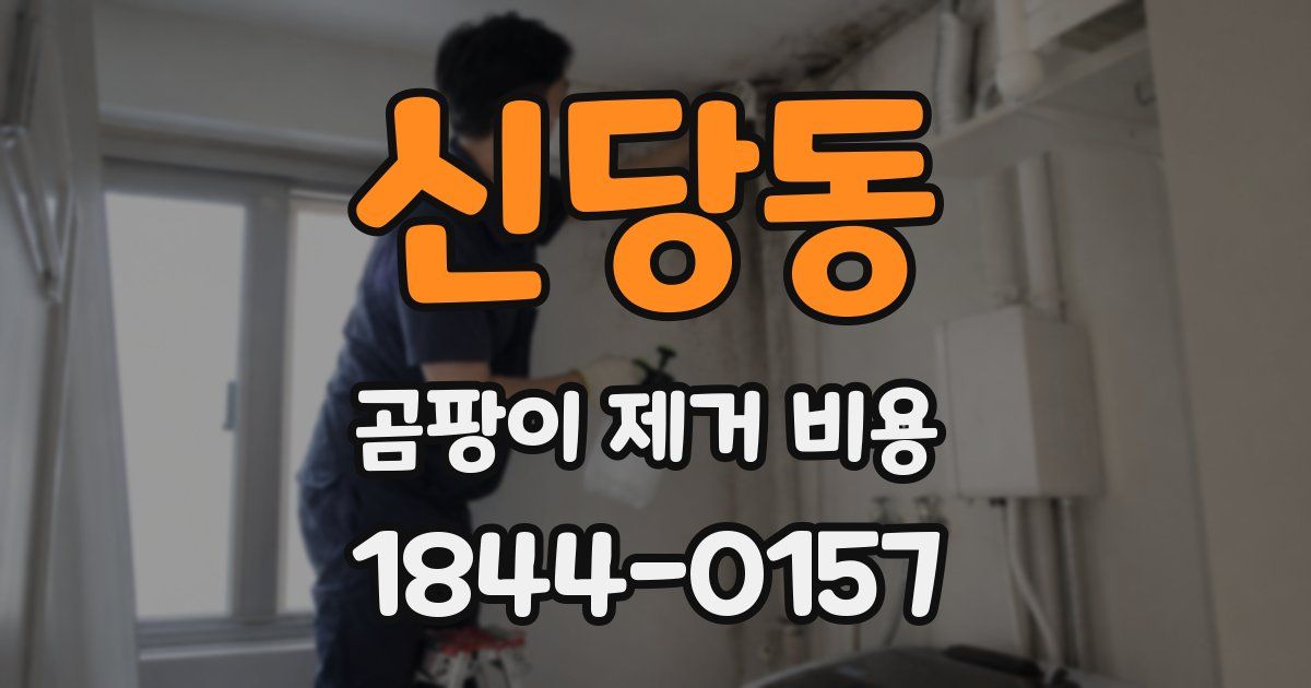신당동 곰팡이 제거 비용