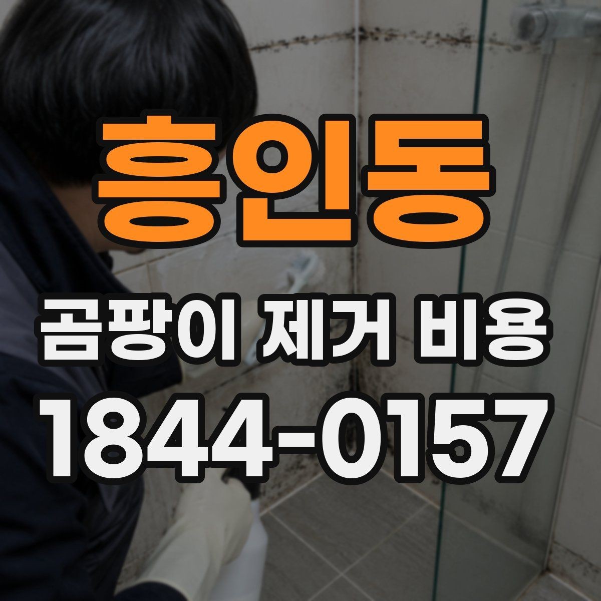 흥인동 곰팡이 제거 비용 결로와 누수 차이를 먼저 확인해야 하는 이유