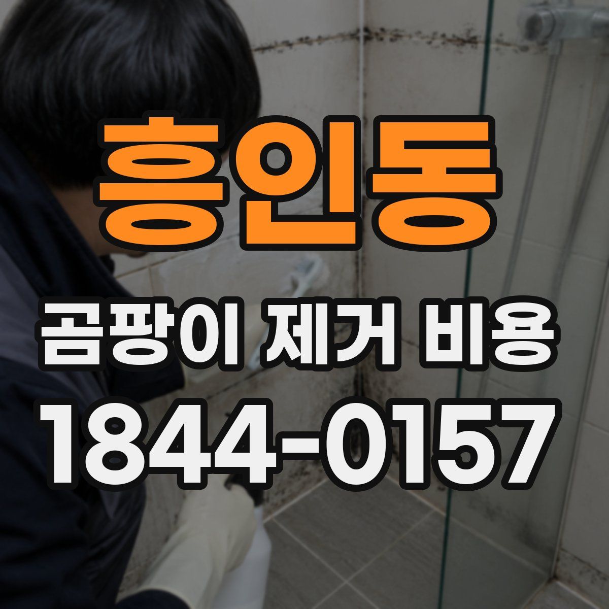 흥인동 곰팡이 제거 비용