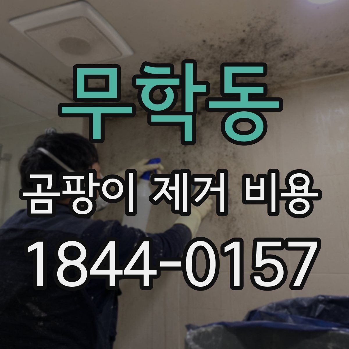 무학동 곰팡이 제거 비용 누수 보수 범위가 달라질 때