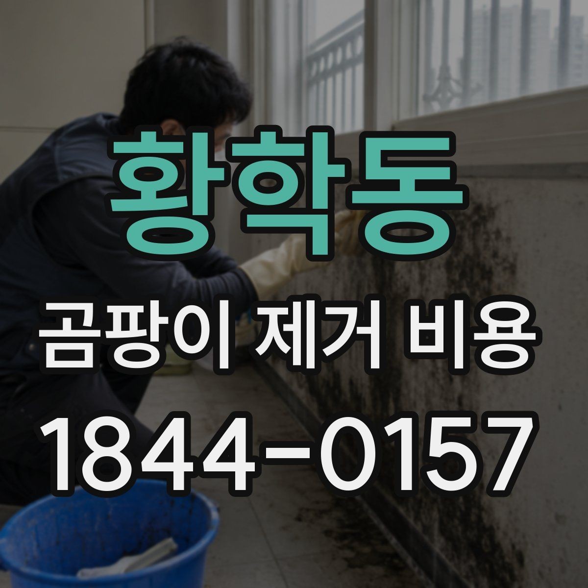 황학동 곰팡이 제거 비용 실리콘 마감 상태에 따른 추가 작업