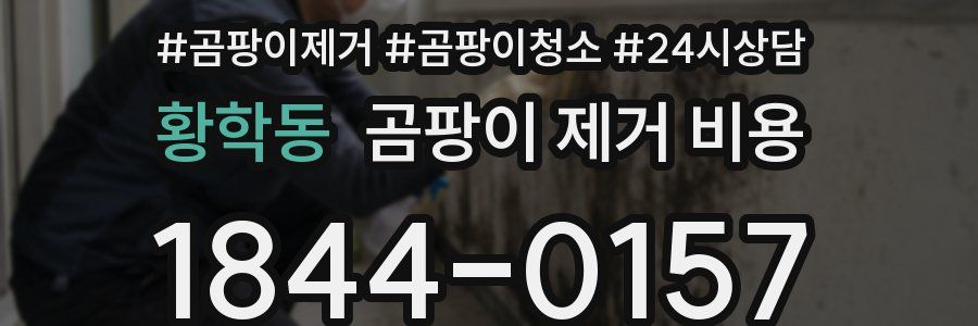 황학동 곰팡이 제거 비용