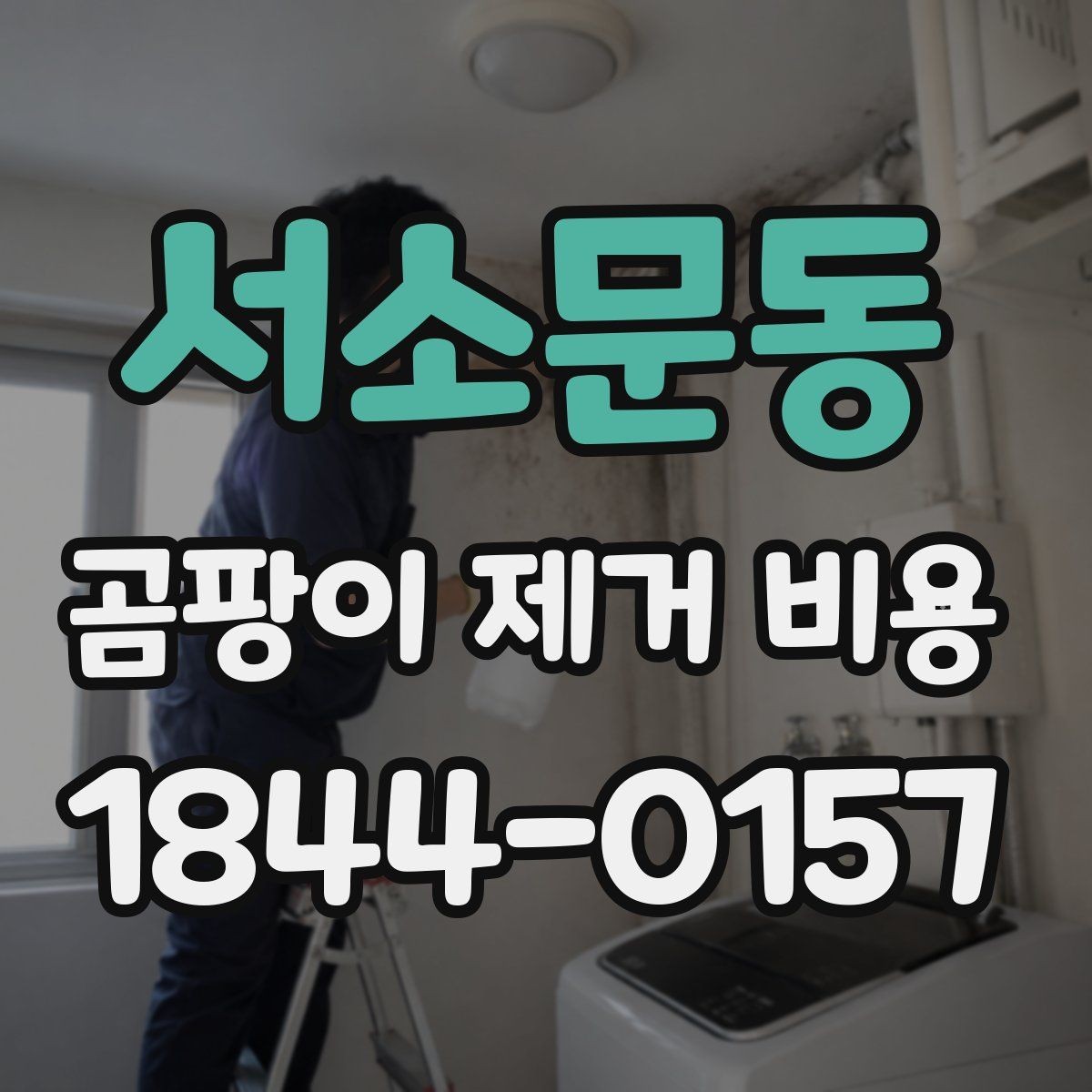 서소문동 곰팡이 제거 비용 공동주택 공사 일정 잡는 법