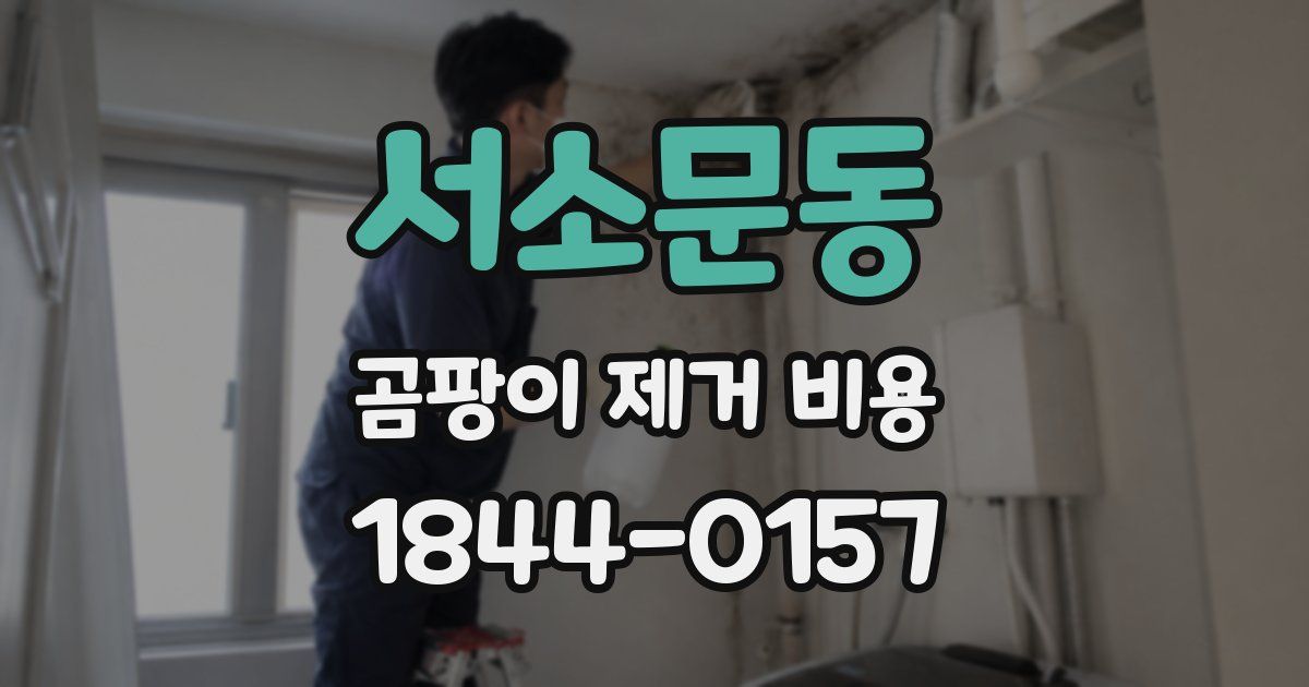 서소문동 곰팡이 제거 비용