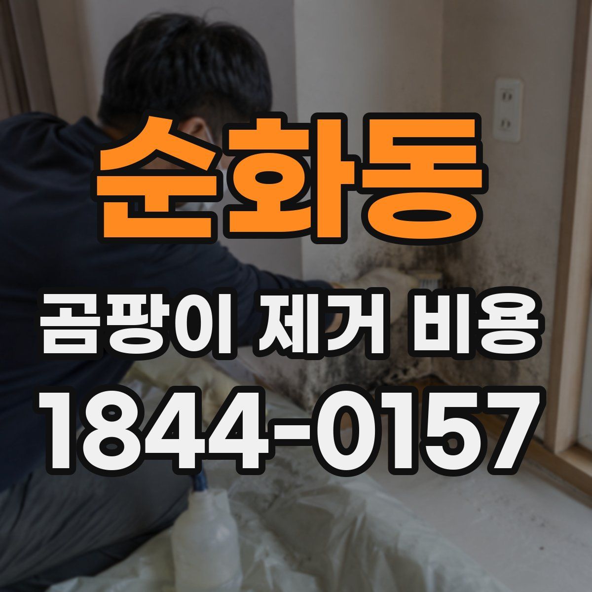 순화동 곰팡이 제거 비용