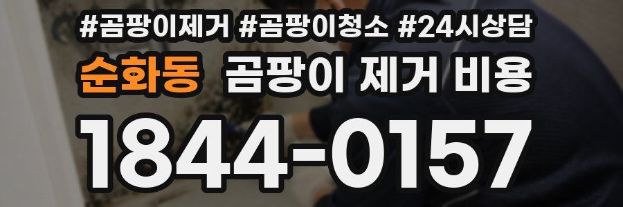 순화동 곰팡이 제거 비용