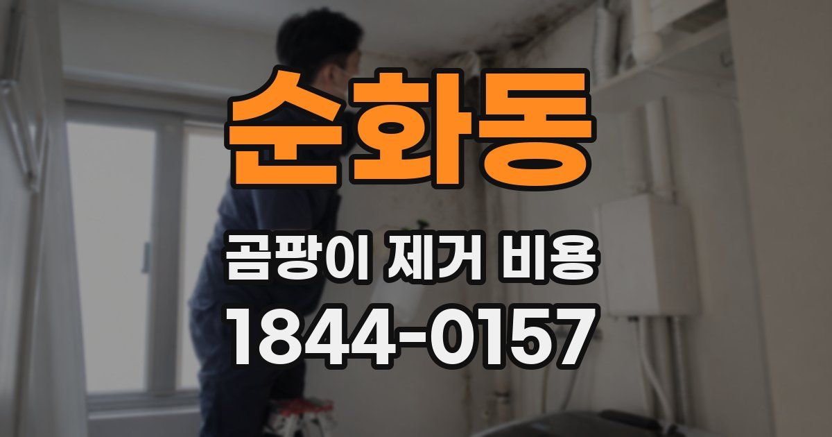 순화동 곰팡이 제거 비용