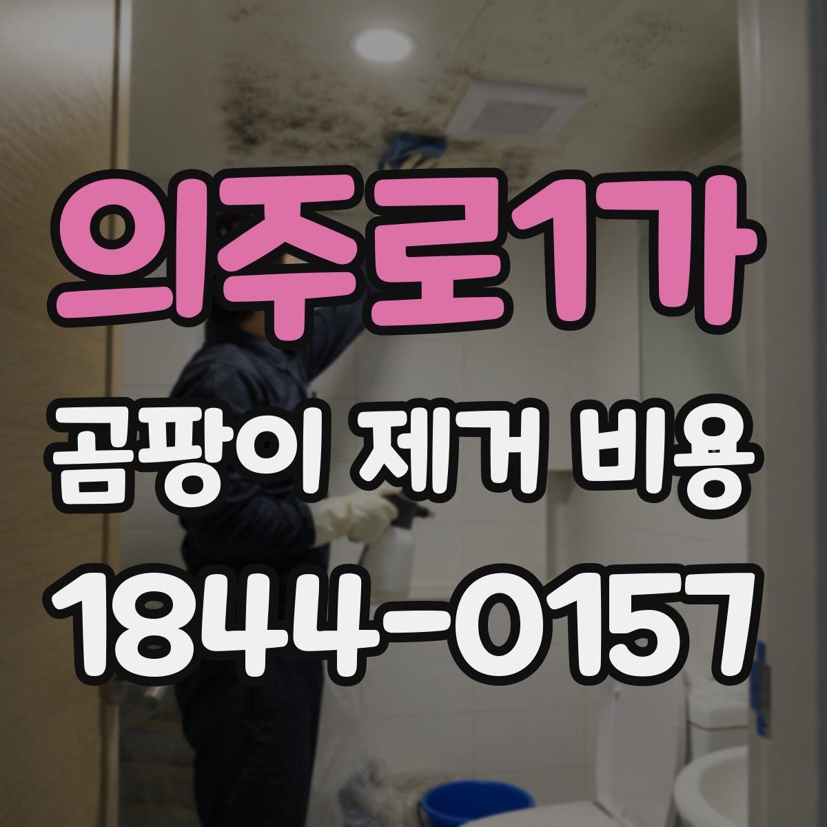 의주로1가 곰팡이 제거 비용 재발 가능성까지 점검하는 방법