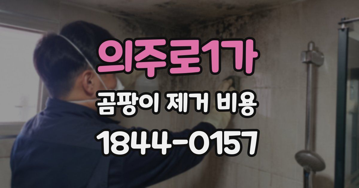 의주로1가 곰팡이 제거 비용