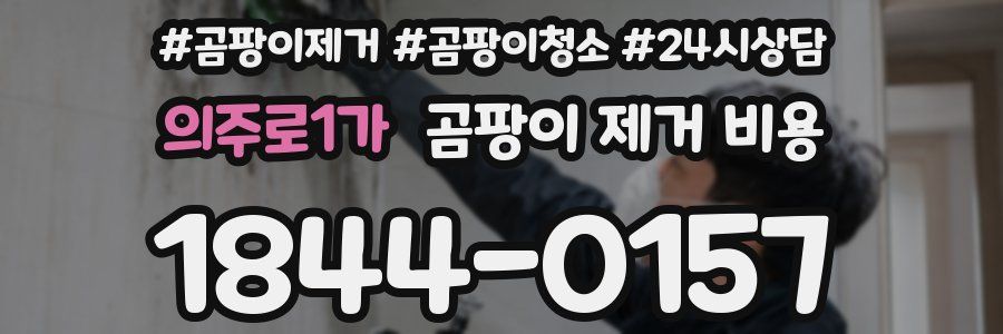 의주로1가 곰팡이 제거 비용