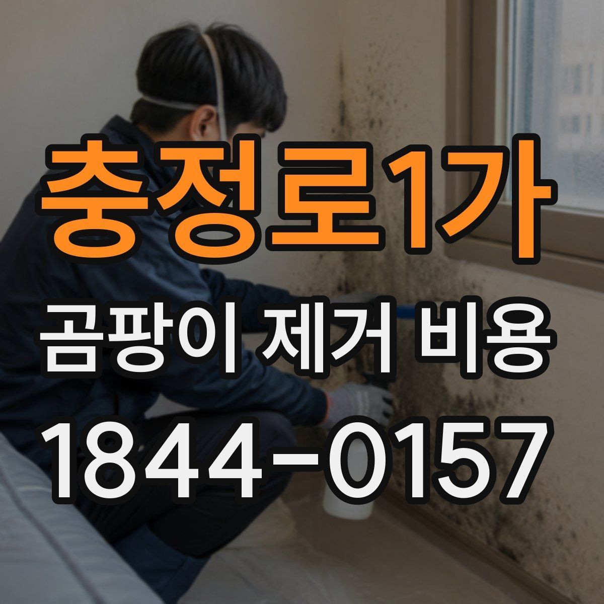 충정로1가 곰팡이 제거 비용 약품 종류와 작업 강도가 달라지는 상황