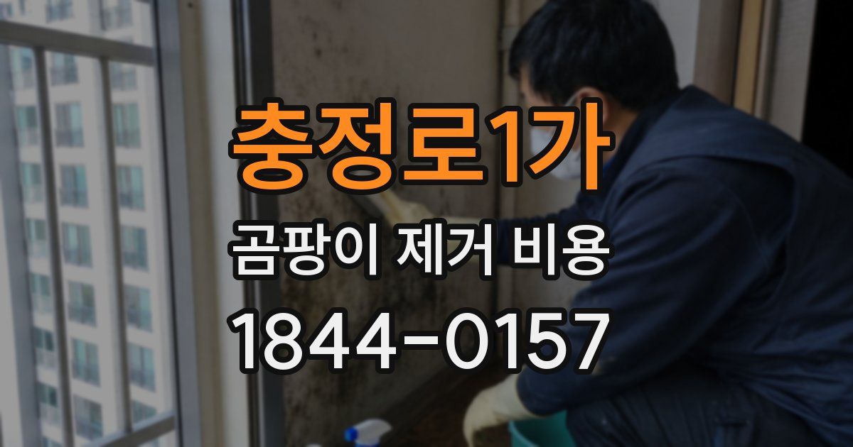 충정로1가 곰팡이 제거 비용