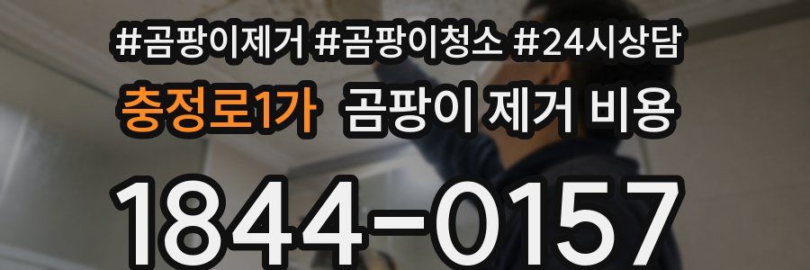 충정로1가 곰팡이 제거 비용