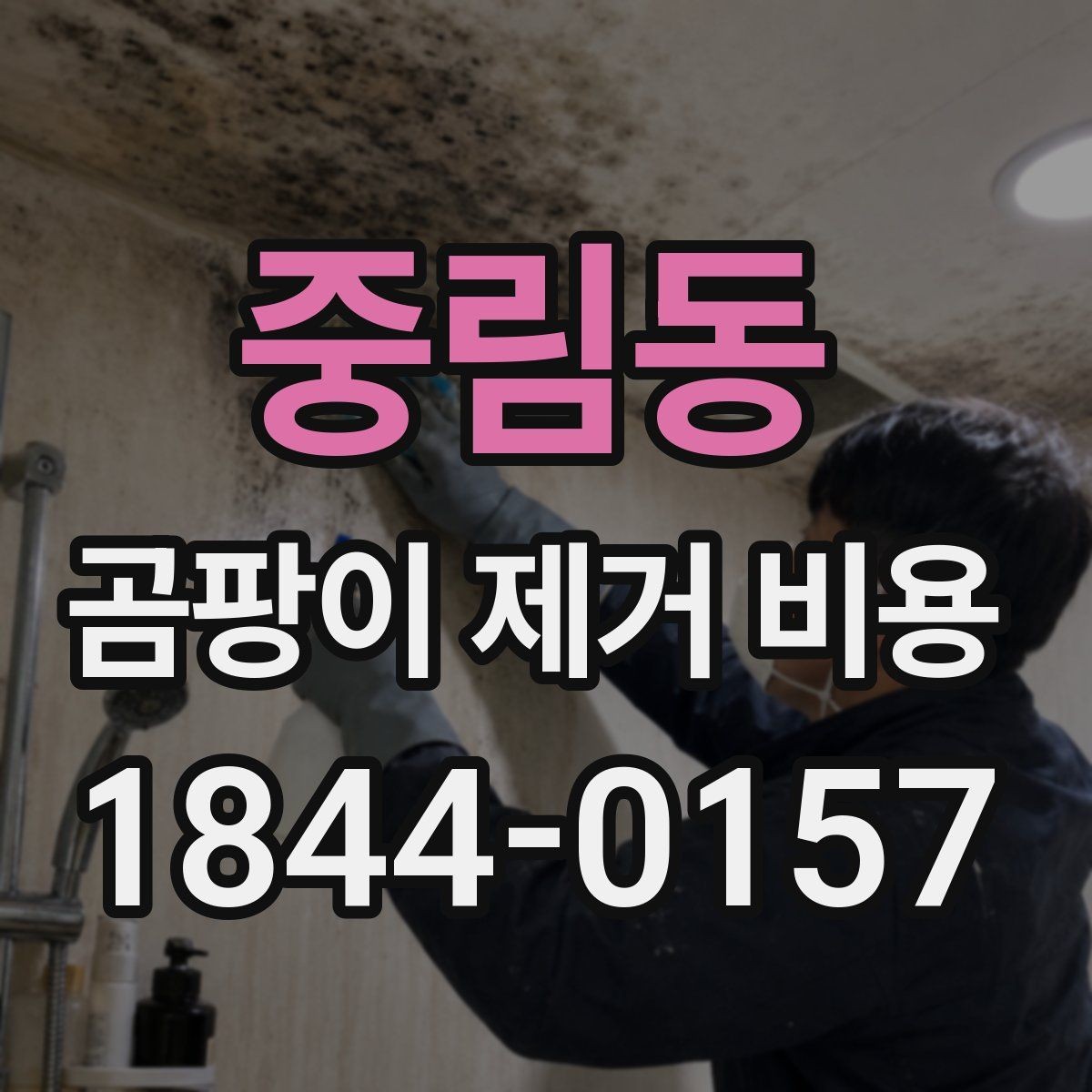 중림동 곰팡이 제거 비용 사후 점검과 재발 방지 관리까지 보는 법