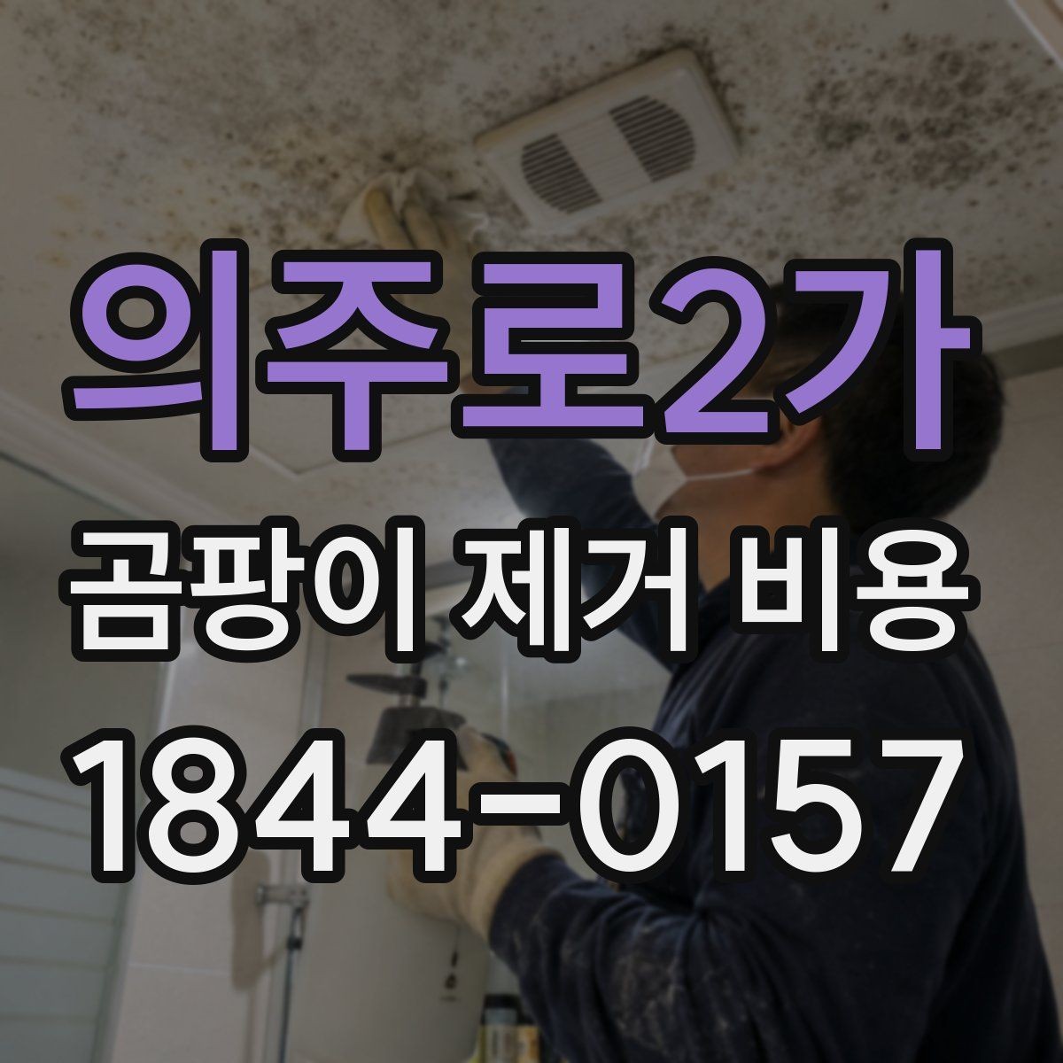 의주로2가 곰팡이 제거 비용 제거 후 다시 번지지 않게 하는 사후 관리