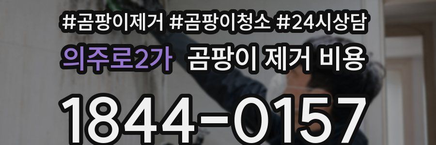 의주로2가 곰팡이 제거 비용