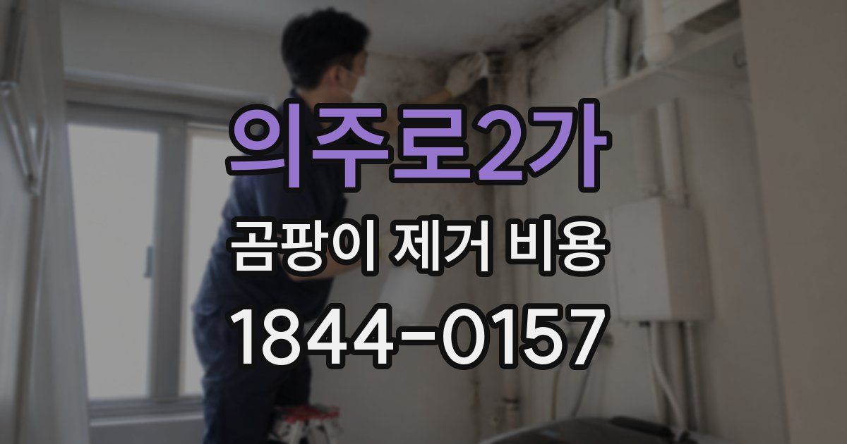 의주로2가 곰팡이 제거 비용