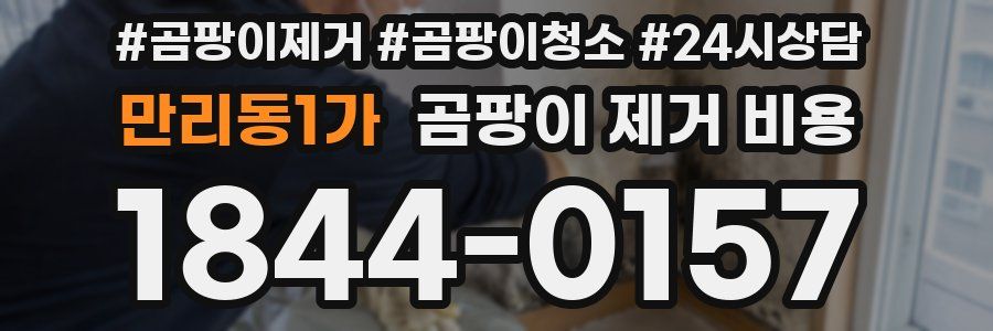 만리동1가 곰팡이 제거 비용